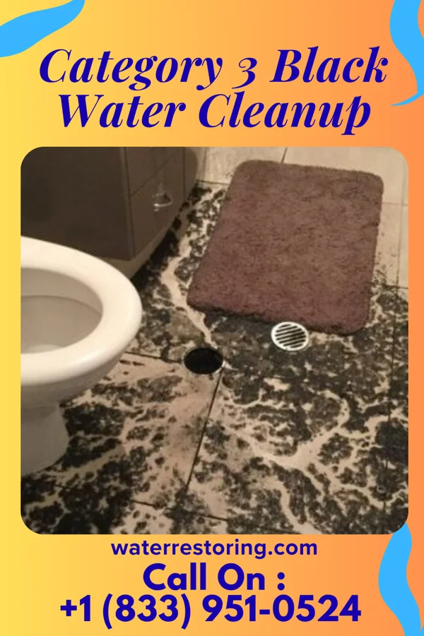 Category 3 Black Water Cleanup in Hebron, OH