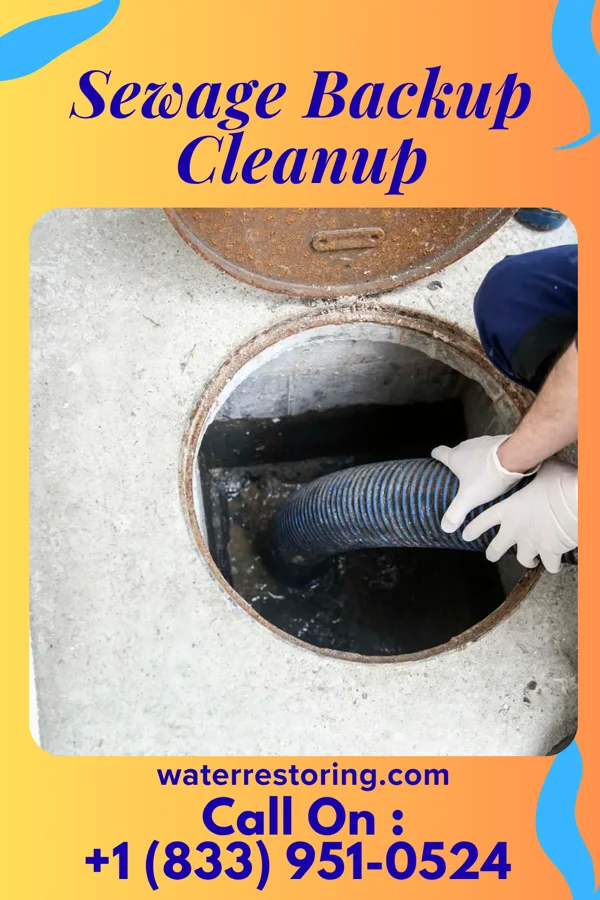 Sewage Backup Cleanup in Hebron, OH