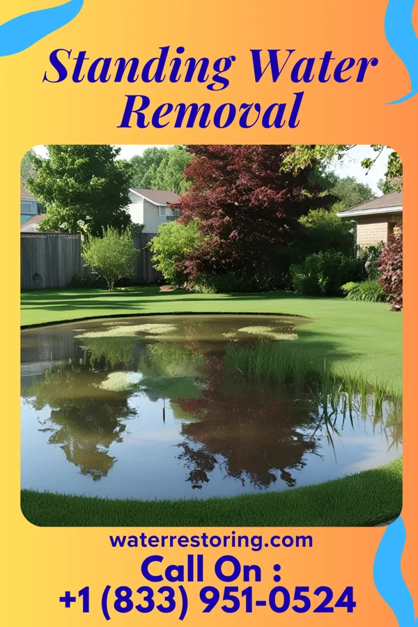 Standing Water Removal in Hebron, OH